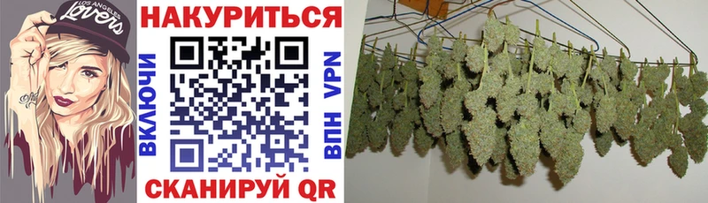 Конопля конопля  Вихоревка 